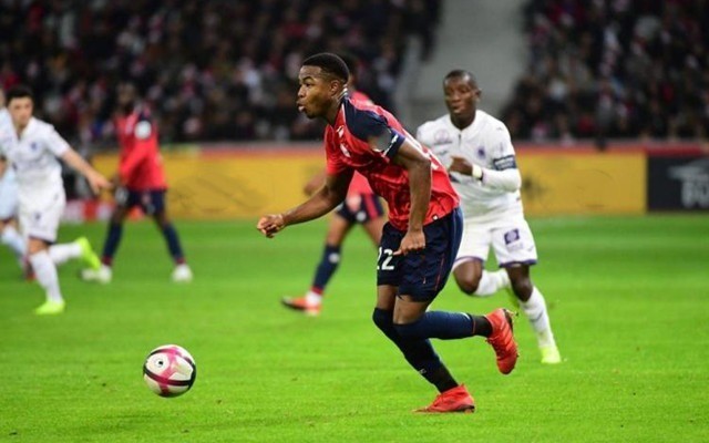 将这种快速 将这种快速