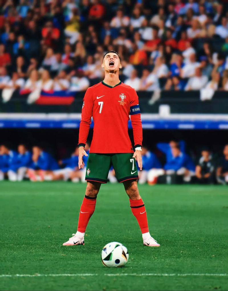 仅在竞争激 仅在竞争激