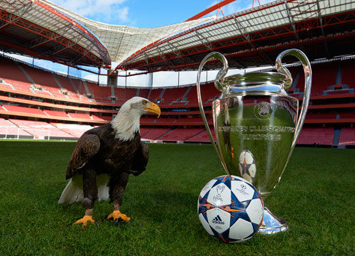 或滞后导致 或滞后导致