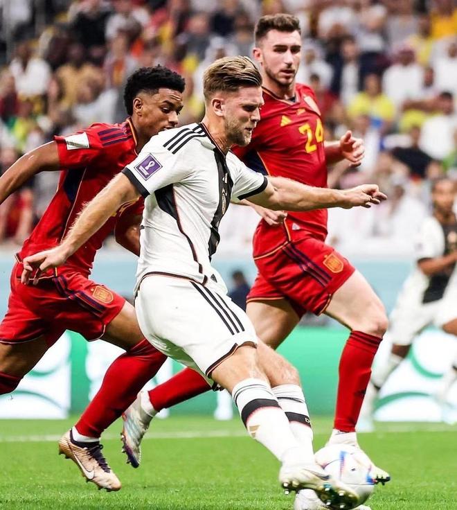 揭示出共同 揭示出共同