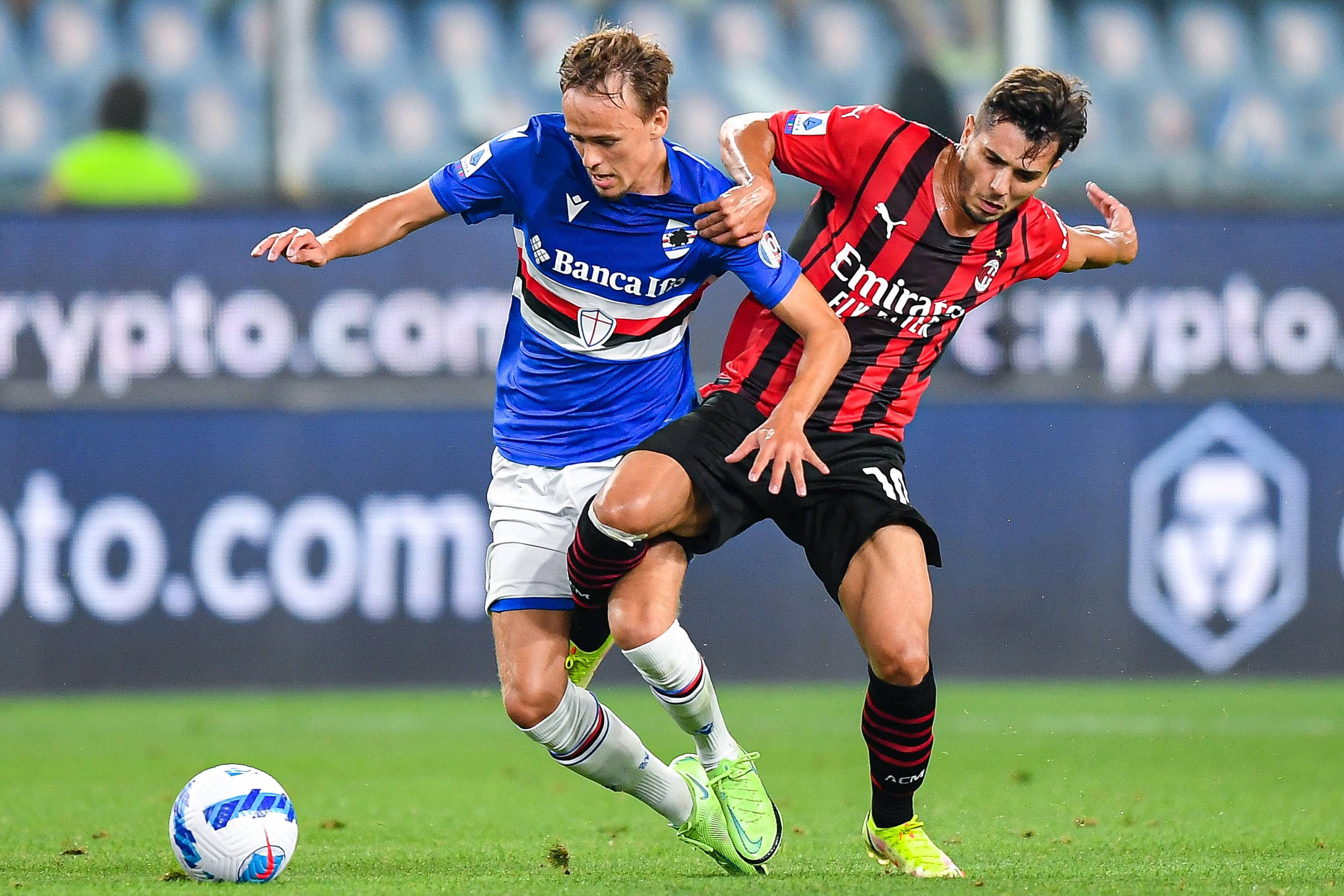 在放大镜下 在放大镜下